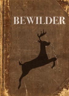 Bewilder