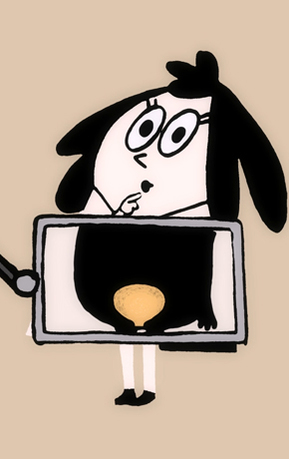 1605 06 a shaheed heba bladder tededthumb