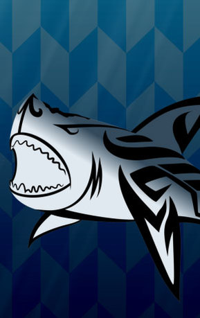 1607 04 a thys tierney sharks tededthumb